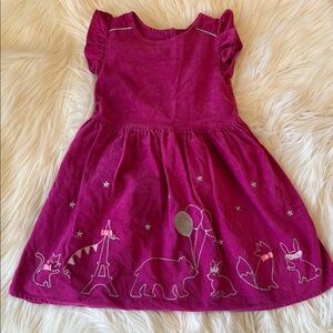 Gymboree Starry Night cotton corduroy Pink Dress Size 5T